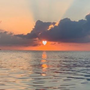 Meet your Posher, Ava